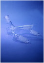 Bends, Receiver, Pig, Multiple Connections - SGL Scientific Glass Laboratories