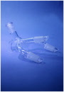 Bends, Receiver, Pig, Multiple Connections - SGL Scientific Glass Laboratories